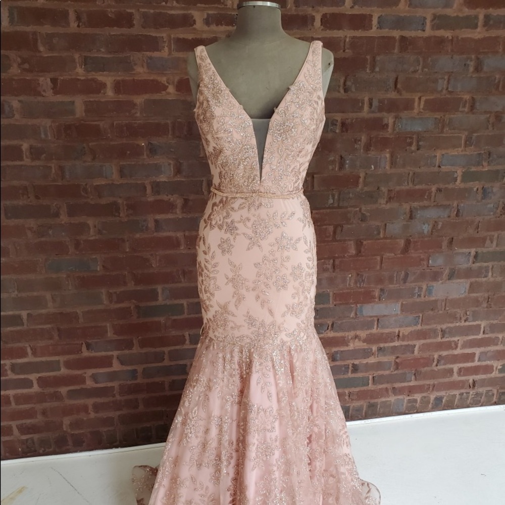 Blakely Jones NWT formal gown nude/gold size 8